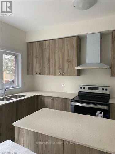 193 Dingman Street, Wellington North, ON - Indoor Photo Showing Kitchen With Double Sink