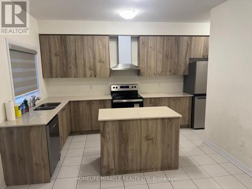 193 Dingman Street, Wellington North, ON - Indoor Photo Showing Kitchen With Double Sink