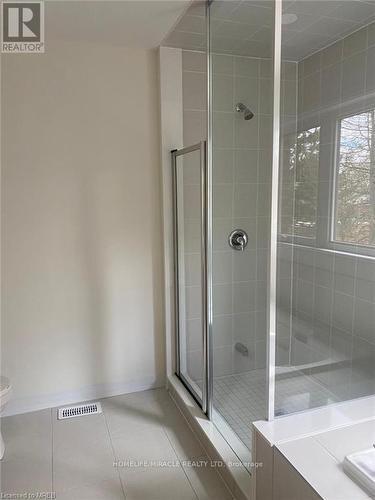193 Dingman Street, Wellington North, ON - Indoor Photo Showing Bathroom