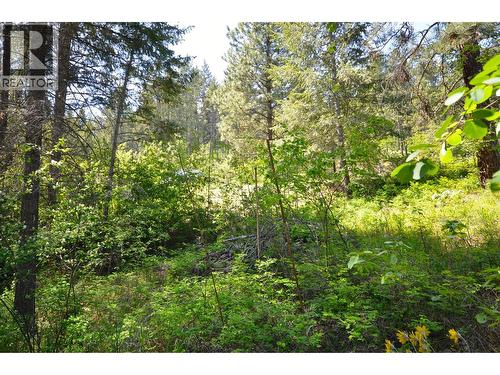 10713 Westshore Road, Vernon, BC 