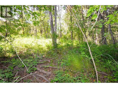 10713 Westshore Road, Vernon, BC 