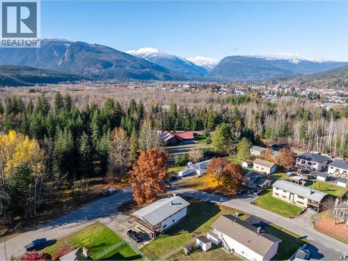 1509 Mountain View Drive, Revelstoke, BC - Outdoor With View