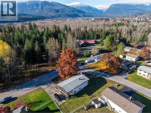 1509 Mountain View Drive, Revelstoke, BC - Outdoor With View