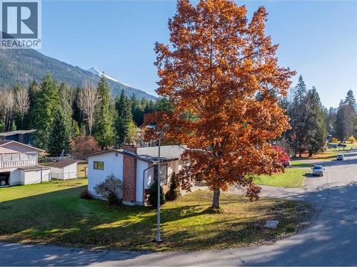 1509 Mountain View Drive, Revelstoke, BC - Outdoor