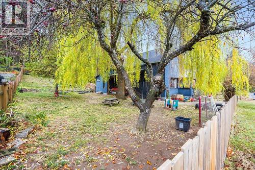 1602 Vancouver Street, Nelson, BC - Outdoor