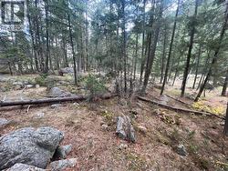2267 OLD HEDLEY Road Princeton, BC V0X 1W0