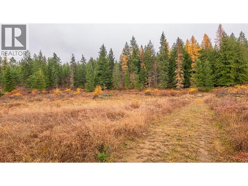 14448 3A Highway, Gray Creek, BC 