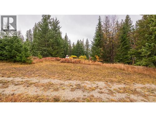 14448 3A Highway, Gray Creek, BC 