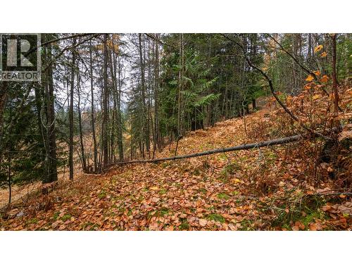 14448 3A Highway, Gray Creek, BC 