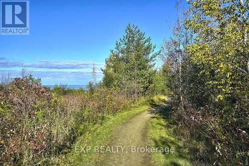 50 Trott Boulevard, Collingwood, ON - Outdoor With View