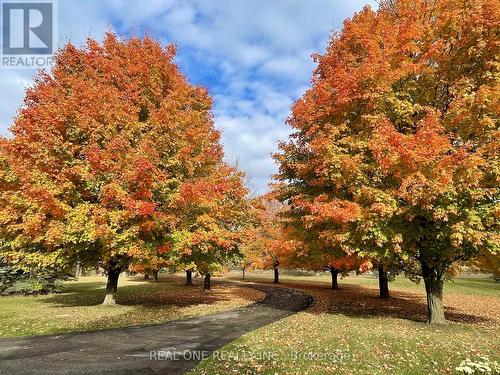 2477 Hornes Road, East Gwillimbury, ON - Outdoor With View