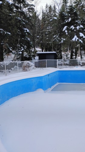 Piscine - 95 Rue Du Campeur, Val-Morin, QC - Outdoor With In Ground Pool With Backyard
