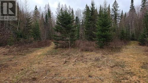 44 Expressway Road, Perry, ON - Outdoor With View