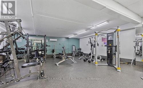 210 - 10 Muirhead Road, Toronto, ON - Indoor Photo Showing Gym Room