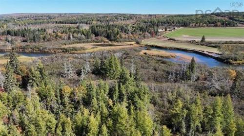 22 Acres Dowling Road, Cleveland, NS 