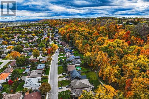 36 Maple Drive, Hamilton, ON - Outdoor With View