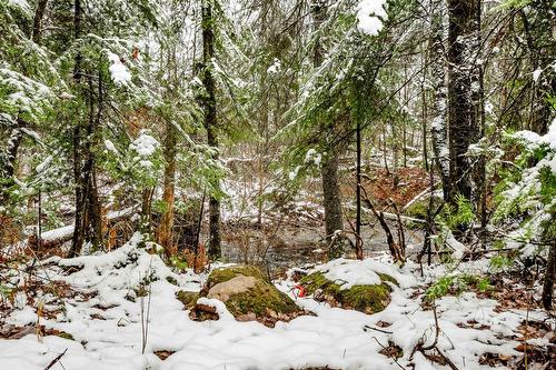 Extérieur - 81 Rue Raymond, Magog, QC - Outdoor