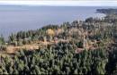 Lt B Island Hwy South, Campbell River, BC 