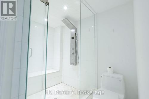Lower-level bathroom, fully upgraded - 249 Tampico Road, Richmond Hill, ON - Indoor Photo Showing Bathroom