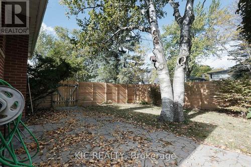 Bonus side yard with mature tree & view - 249 Tampico Road, Richmond Hill, ON - Outdoor