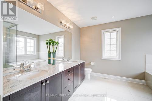 982 Wilbur Pipher Circle, Newmarket, ON - Indoor Photo Showing Bathroom