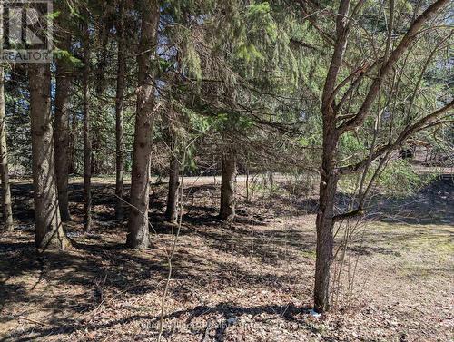 120 Anderson Drive S, West Grey, ON 