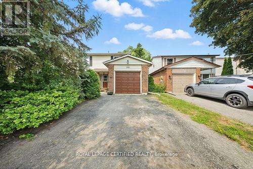 386 HANDLEY CRESCENT  Newmarket, ON L3Y 4T4