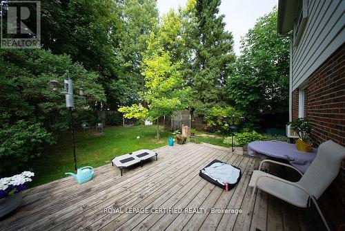 386 Handley Crescent, Newmarket, ON - Outdoor With Deck Patio Veranda