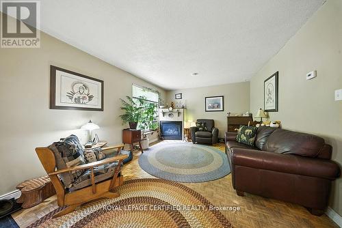 386 Handley Crescent, Newmarket, ON - Indoor Photo Showing Living Room With Fireplace