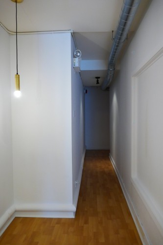 Hall d'entrée/Vestibule - 5237A Av. Du Parc, Montréal (Le Plateau-Mont-Royal), QC - Indoor Photo Showing Other Room