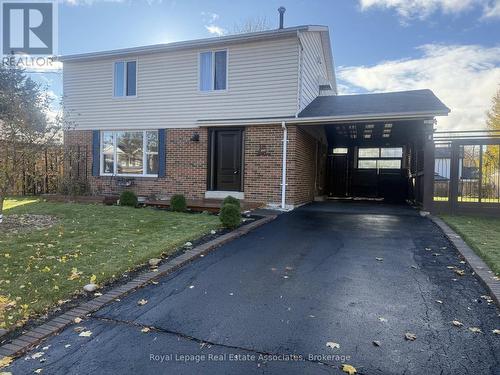 18 Fagan Drive, Halton Hills, ON - Outdoor