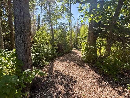 10 River View Drive, Cape Traverse, PE 