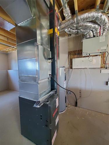 83 Harry Waytiuk Drive, East Selkirk, MB - Indoor Photo Showing Basement