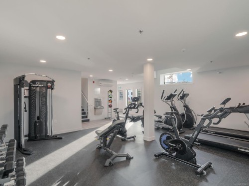 202-4820 Cedar Ridge Pl, Nanaimo, BC - Indoor Photo Showing Gym Room