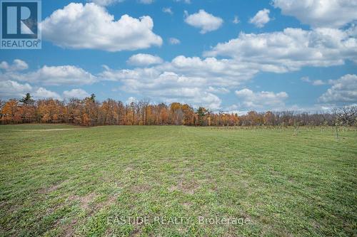 5255 Philp Road, Lincoln, ON 