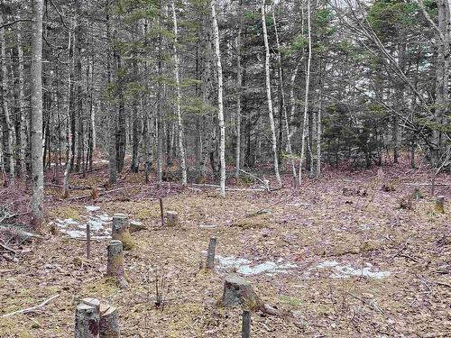 Lot Forest Glade Road, Forest Glade, NS 