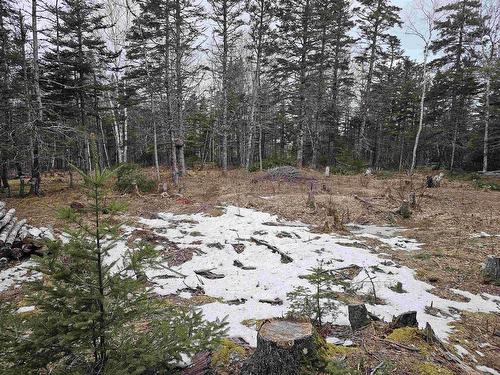 Lot Forest Glade Road, Forest Glade, NS 