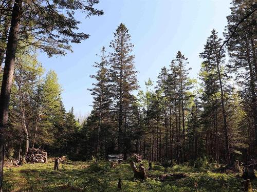 Lot Forest Glade Road, Forest Glade, NS 