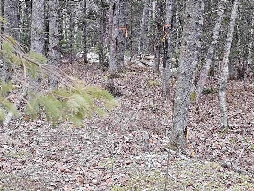 Lot Forest Glade Road, Forest Glade, NS 