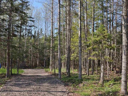 Lot Forest Glade Road, Forest Glade, NS 