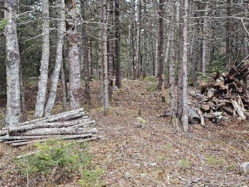 Lot Forest Glade Road, Forest Glade, NS 