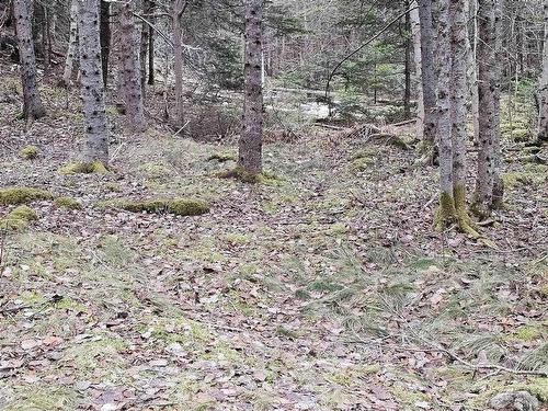Lot Forest Glade Road, Forest Glade, NS 