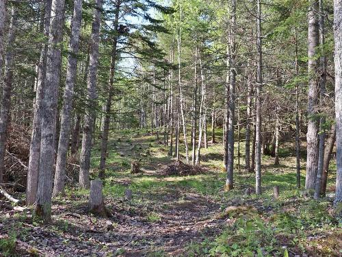 Lot Forest Glade Road, Forest Glade, NS 