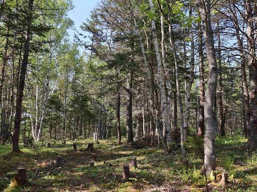 Lot Forest Glade Road, Forest Glade, NS 