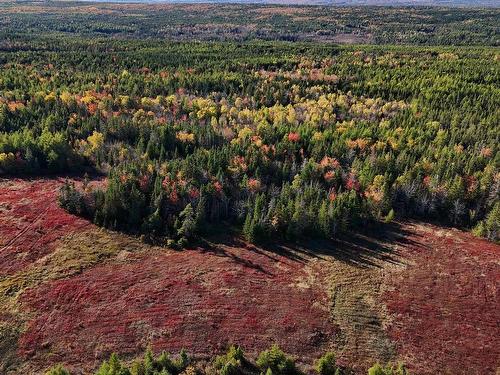 Bengal-Oceanview Road, Albert Bridge, NS 