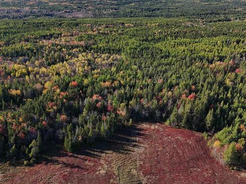 Bengal-Oceanview Road, Albert Bridge, NS 