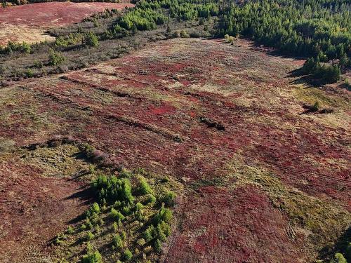 Bengal-Oceanview Road, Albert Bridge, NS 