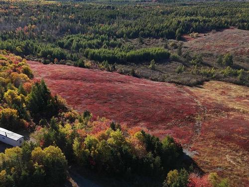 Bengal-Oceanview Road, Albert Bridge, NS 