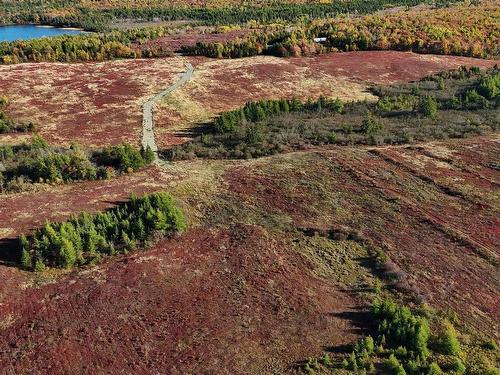 Bengal-Oceanview Road, Albert Bridge, NS 