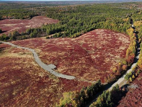 Bengal-Oceanview Road, Albert Bridge, NS 